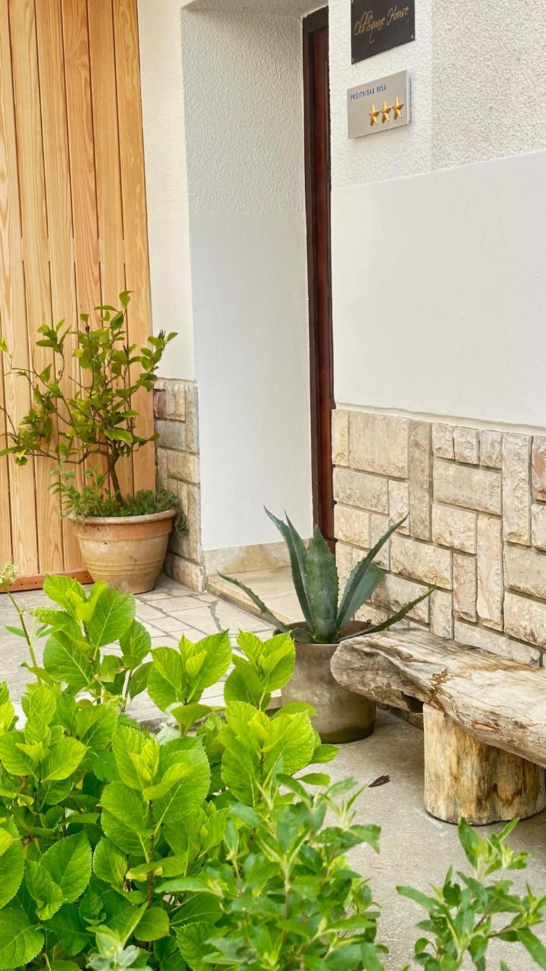 شقة Old Square House - Hisa Na Starem Trgu تولمين المظهر الخارجي الصورة
